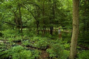 L'ABC de la permaculture